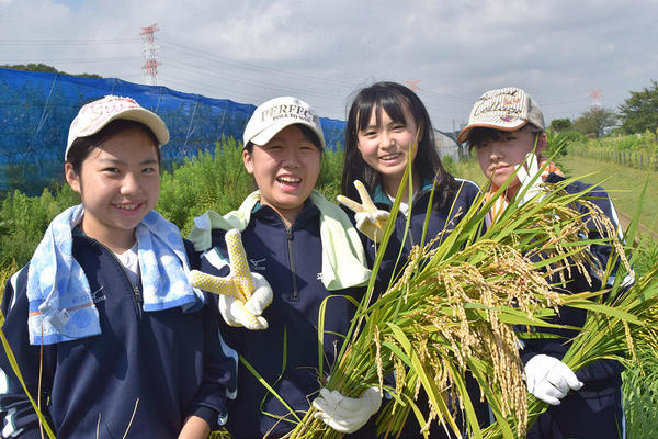 二松學舍大学附属柏中学校・高等学校