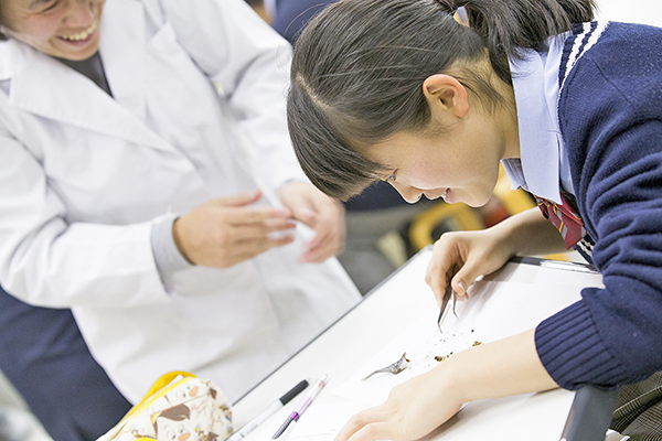 東京電機大学中学校・高等学校2018