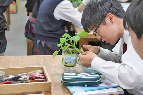 関東学院_工具を使って丁寧にアブラ虫を取り除きます。