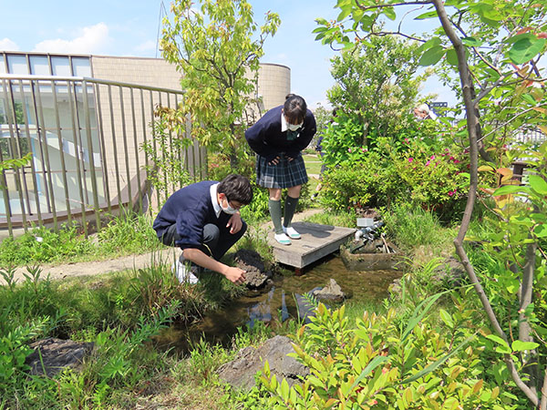 実践学園_「実践の森・農園」で観察をする生徒