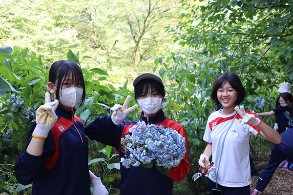 東京家政学院_「南沢あじさい山」にて