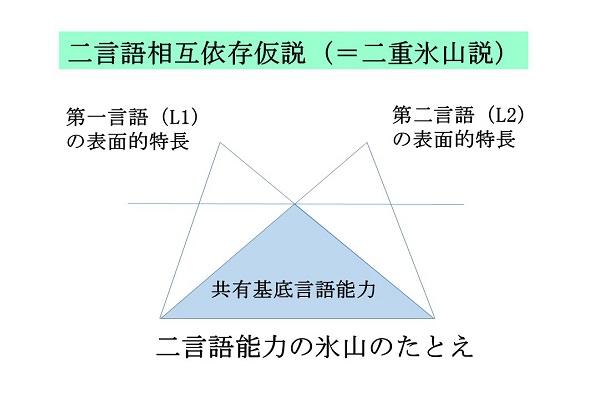 二重氷山説